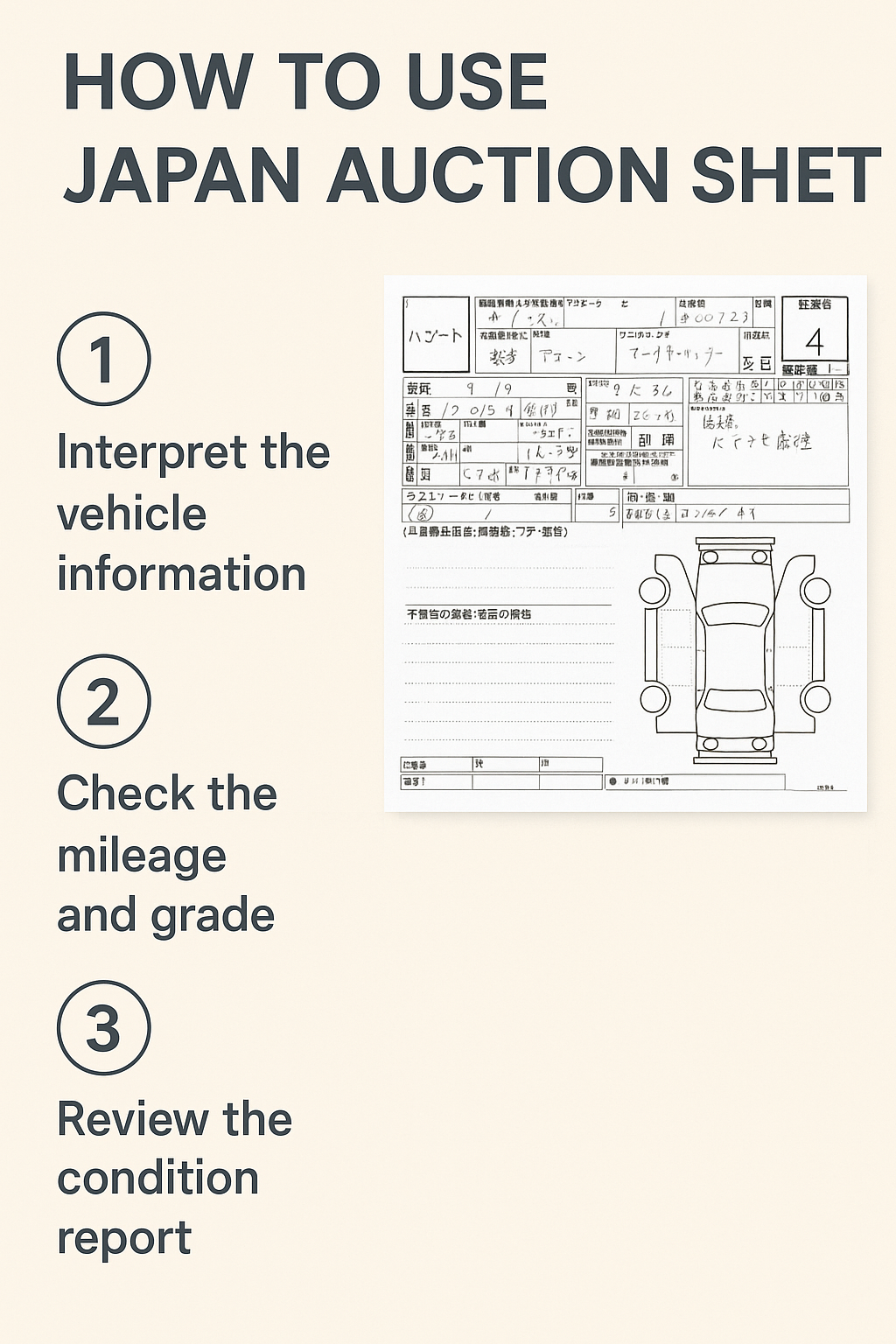 Sample Auction Sheet Verification